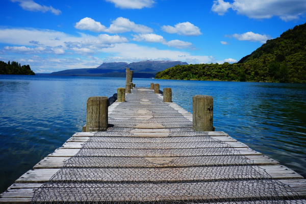 Paseos por Rotorua